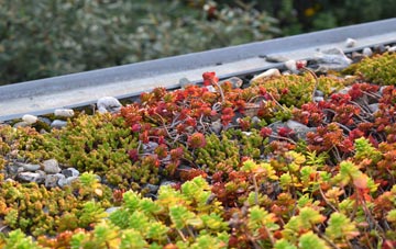 the cost of Willand Moor green roof installation